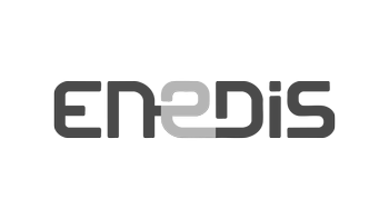 Logo Enedis N&B_350