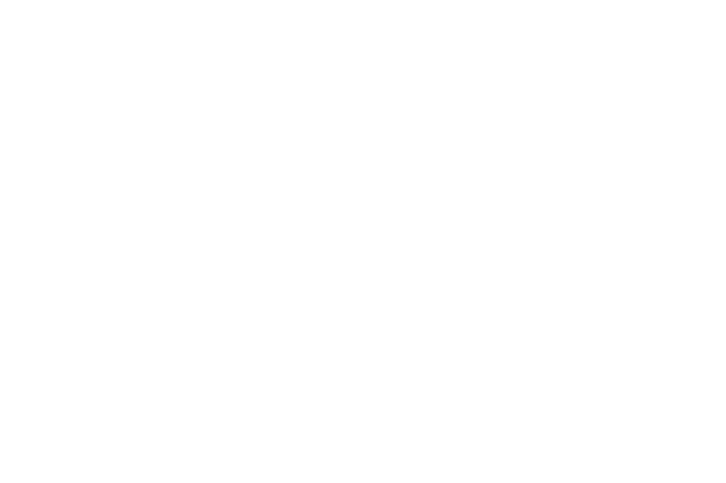 Logo Expand North Star WHITE Header